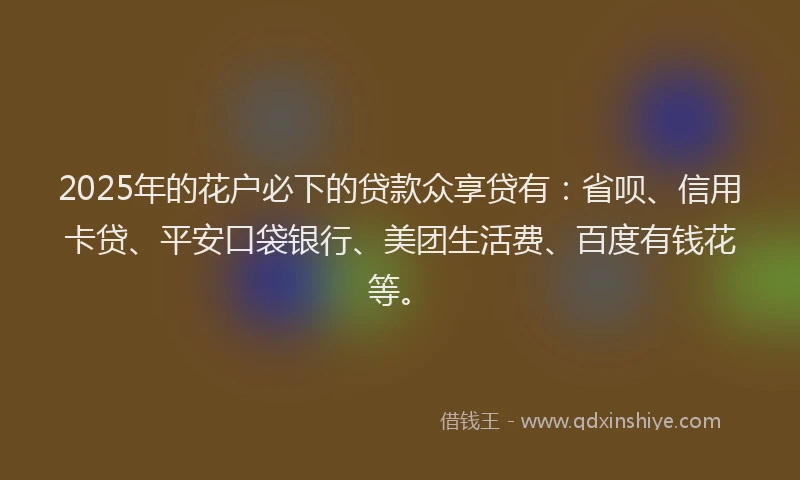 2025年的花户必下的贷款众享贷有：省呗、信用卡贷、平安口袋银行、美团生活费、百度有钱花等。