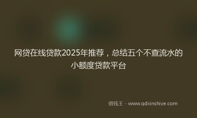 网贷在线贷款2025年推荐，总结五个不查流水的小额度贷款平台