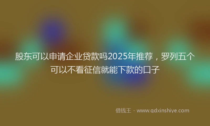 股东可以申请企业贷款吗2025年推荐，罗列五个可以不看征信就能下款的口子