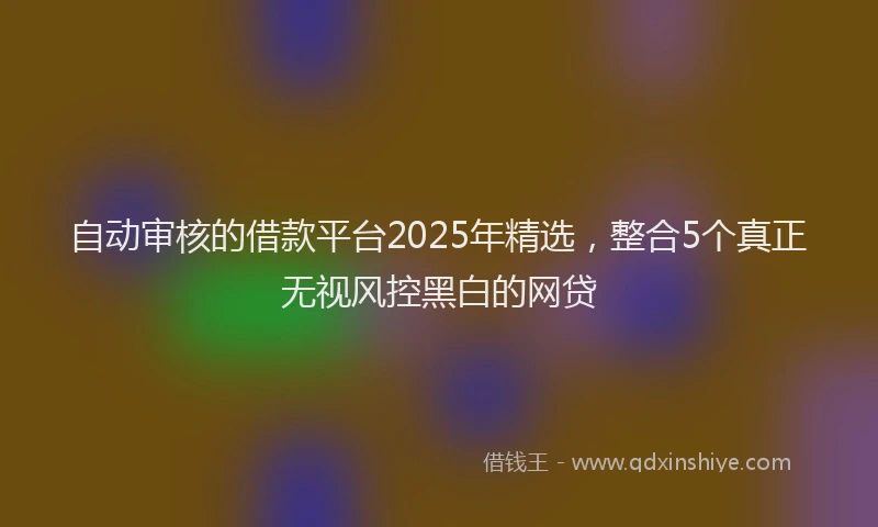 自动审核的借款平台2025年精选，整合5个真正无视风控黑白的网贷