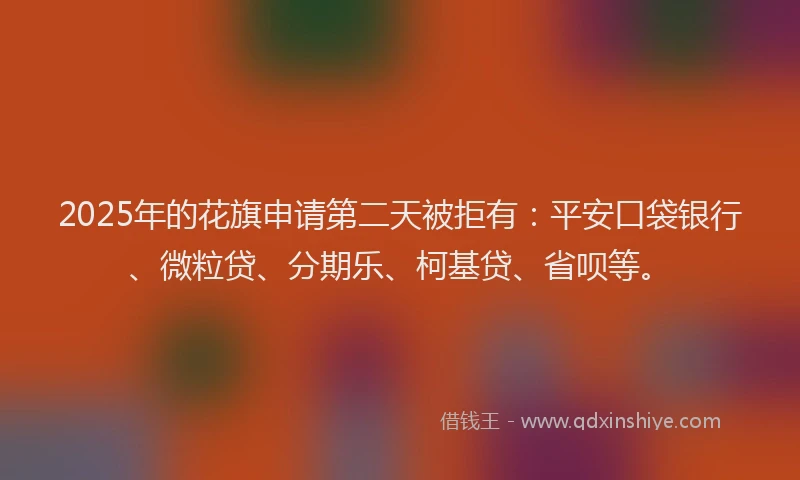 2025年的花旗申请第二天被拒有：平安口袋银行、微粒贷、分期乐、柯基贷、省呗等。