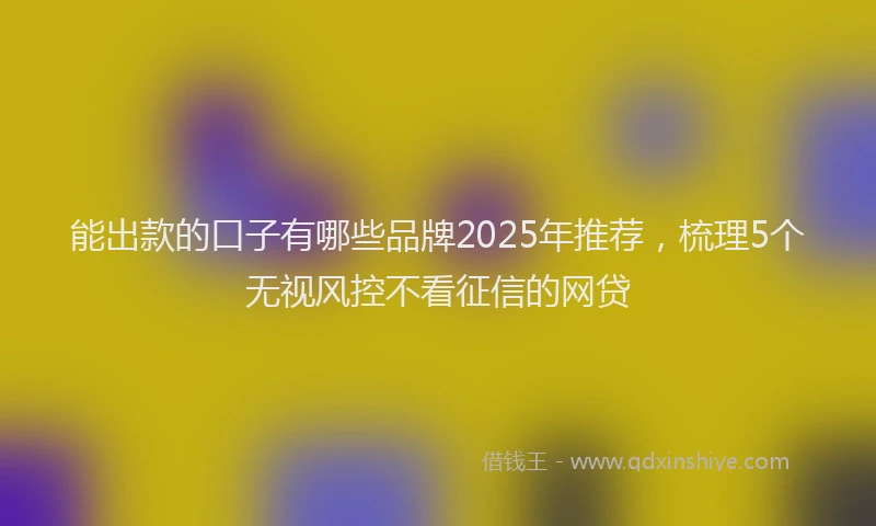 能出款的口子有哪些品牌2025年推荐，梳理5个无视风控不看征信的网贷
