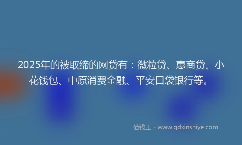2025年的被取缔的网贷有：微粒贷、惠商贷、小花钱包、中原消费金融、平安口袋银行等。