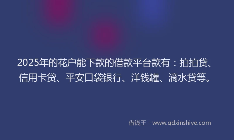 2025年的花户能下款的借款平台款有：拍拍贷、信用卡贷、平安口袋银行、洋钱罐、滴水贷等。