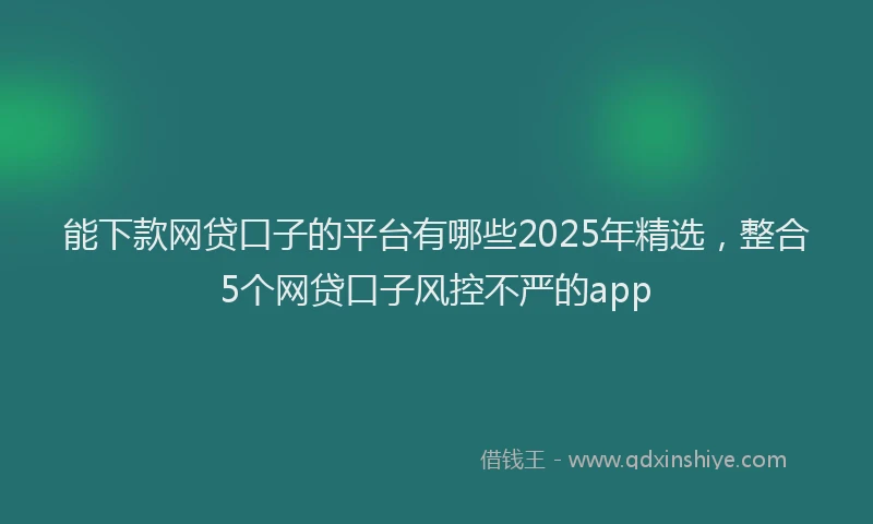 能下款网贷口子的平台有哪些2025年精选，整合5个网贷口子风控不严的app