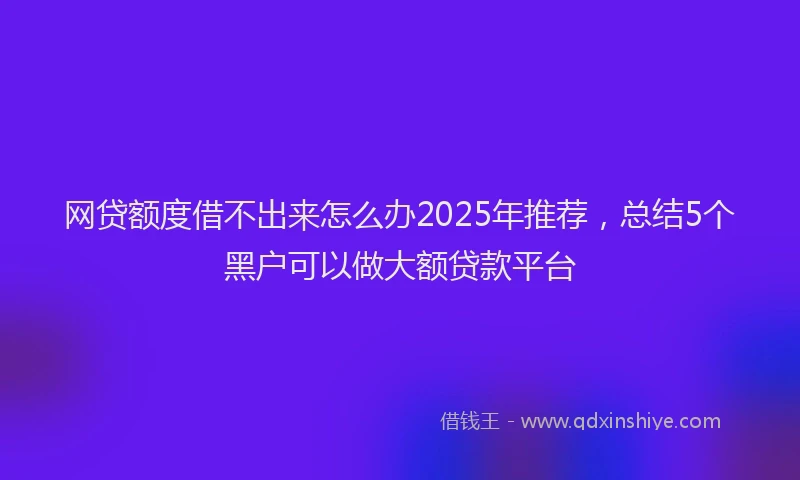 网贷额度借不出来怎么办2025年推荐，总结5个黑户可以做大额贷款平台