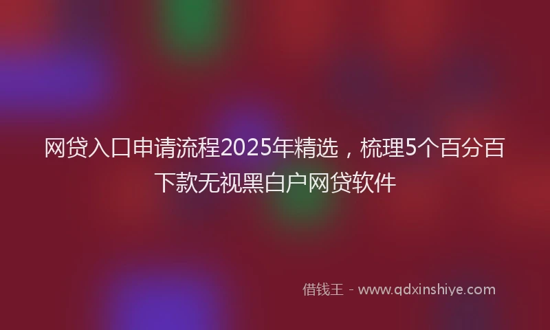 网贷入口申请流程2025年精选，梳理5个百分百下款无视黑白户网贷软件