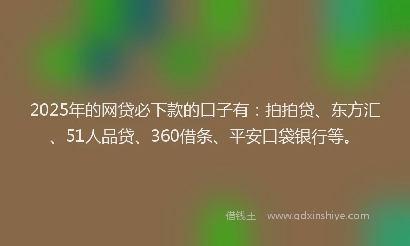 2025年的网贷必下款的口子有：拍拍贷、东方汇、51人品贷、360借条、平安口袋银行等。