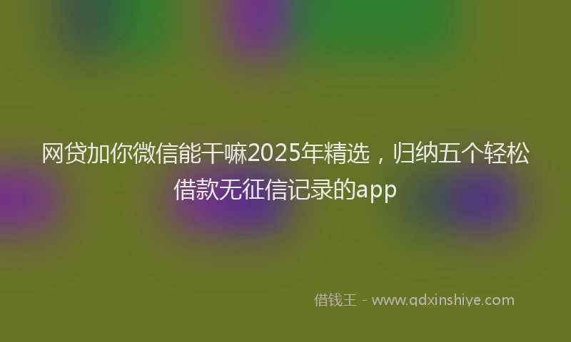 网贷加你微信能干嘛2025年精选，归纳五个轻松借款无征信记录的app