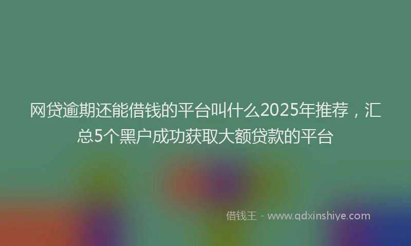 网贷逾期还能借钱的平台叫什么2025年推荐，汇总5个黑户成功获取大额贷款的平台