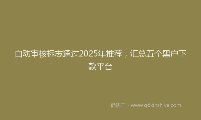 自动审核标志通过2025年推荐，汇总五个黑户下款平台