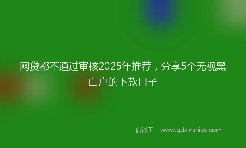 网贷都不通过审核2025年推荐，分享5个无视黑白户的下款口子