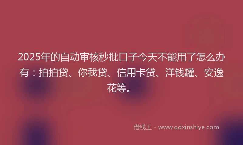 2025年的自动审核秒批口子今天不能用了怎么办有：拍拍贷、你我贷、信用卡贷、洋钱罐、安逸花等。