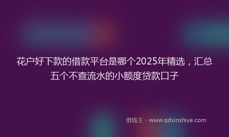 花户好下款的借款平台是哪个2025年精选，汇总五个不查流水的小额度贷款口子