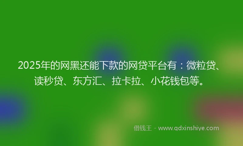 2025年的网黑还能下款的网贷平台有：微粒贷、读秒贷、东方汇、拉卡拉、小花钱包等。