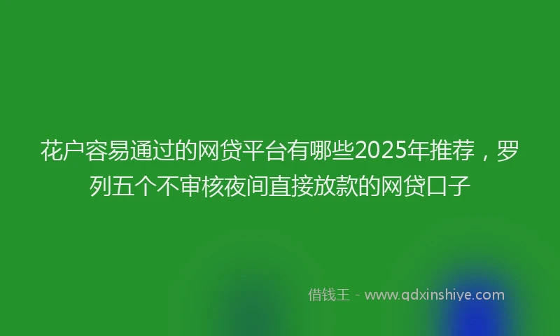 花户容易通过的网贷平台有哪些2025年推荐，罗列五个不审核夜间直接放款的网贷口子