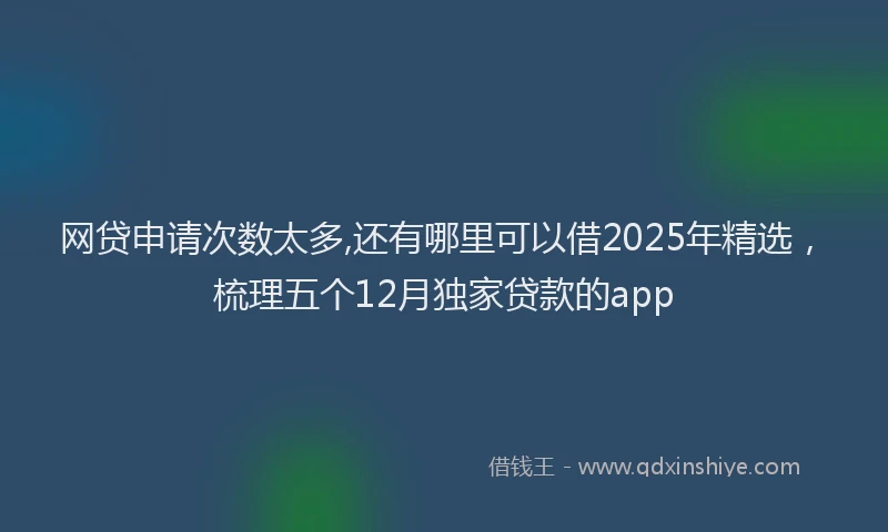 网贷申请次数太多,还有哪里可以借2025年精选，梳理五个12月独家贷款的app