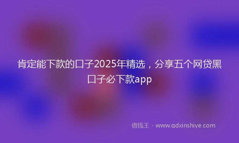 肯定能下款的口子2025年精选，分享五个网贷黑口子必下款app