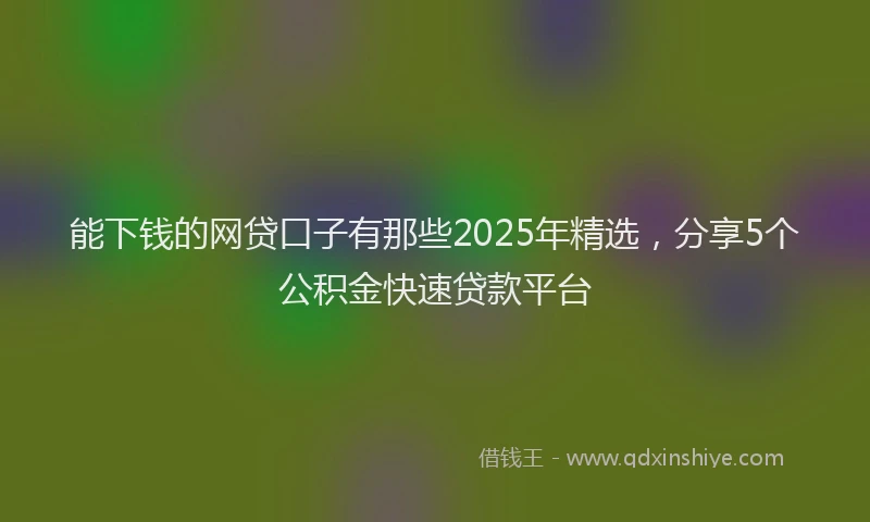 能下钱的网贷口子有那些2025年精选，分享5个公积金快速贷款平台
