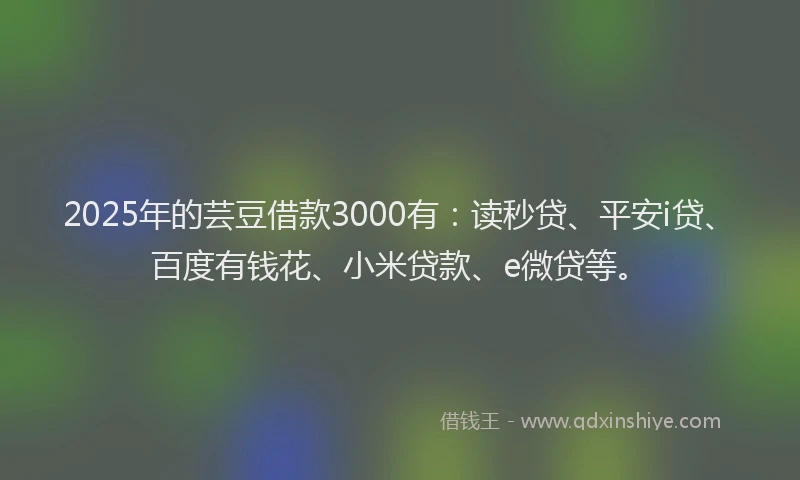 2025年的芸豆借款3000有：读秒贷、平安i贷、百度有钱花、小米贷款、e微贷等。
