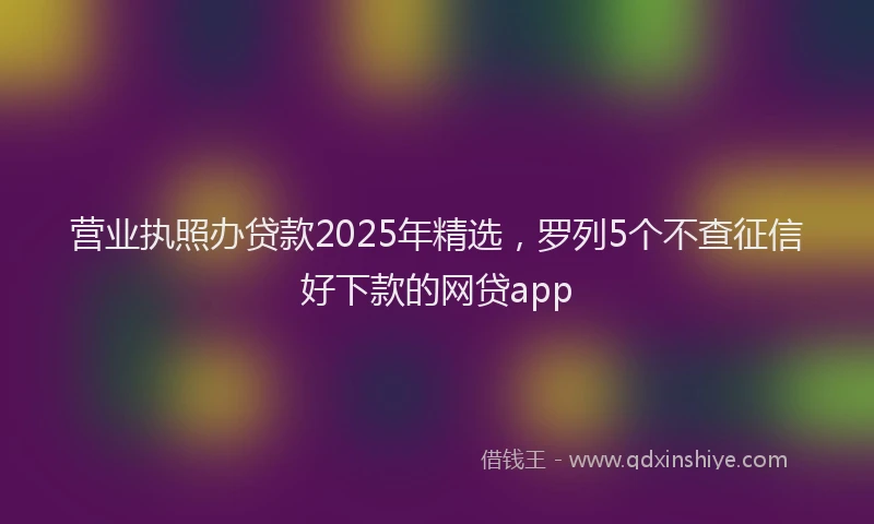营业执照办贷款2025年精选，罗列5个不查征信好下款的网贷app