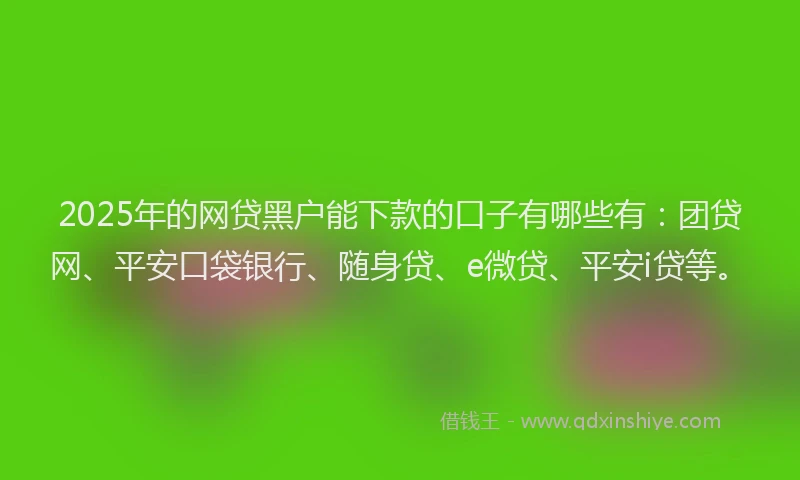 2025年的网贷黑户能下款的口子有哪些有：团贷网、平安口袋银行、随身贷、e微贷、平安i贷等。