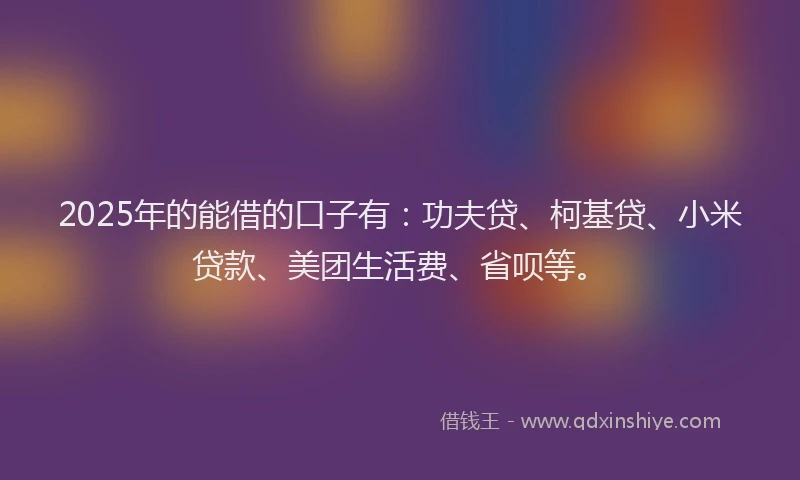 2025年的能借的口子有：功夫贷、柯基贷、小米贷款、美团生活费、省呗等。
