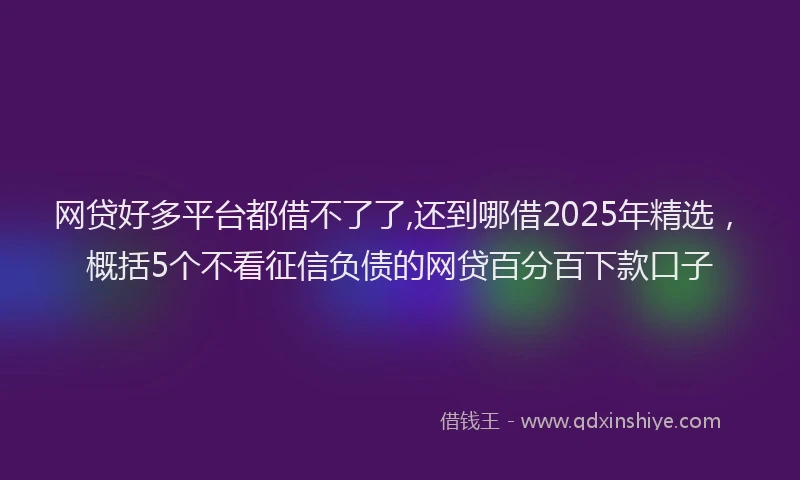 网贷好多平台都借不了了,还到哪借2025年精选，概括5个不看征信负债的网贷百分百下款口子