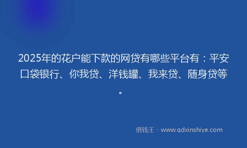 2025年的花户能下款的网贷有哪些平台有：平安口袋银行、你我贷、洋钱罐、我来贷、随身贷等。
