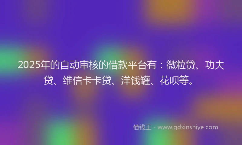 2025年的自动审核的借款平台有：微粒贷、功夫贷、维信卡卡贷、洋钱罐、花呗等。