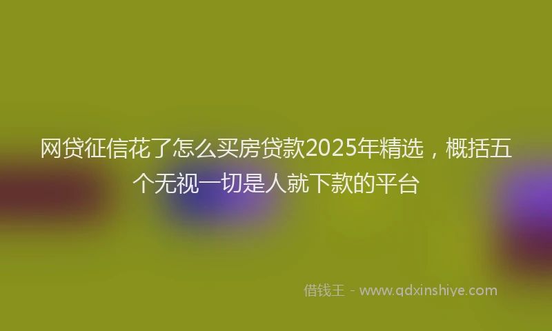 网贷征信花了怎么买房贷款2025年精选，概括五个无视一切是人就下款的平台