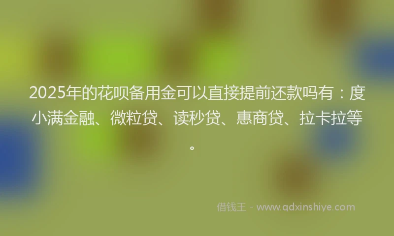 2025年的花呗备用金可以直接提前还款吗有：度小满金融、微粒贷、读秒贷、惠商贷、拉卡拉等。