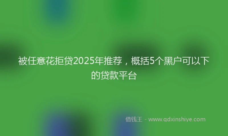 被任意花拒贷2025年推荐，概括5个黑户可以下的贷款平台