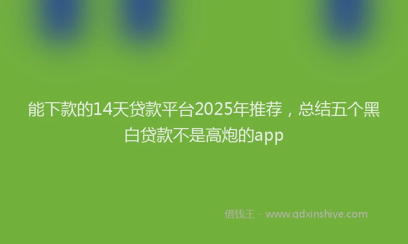 能下款的14天贷款平台2025年推荐，总结五个黑白贷款不是高炮的app