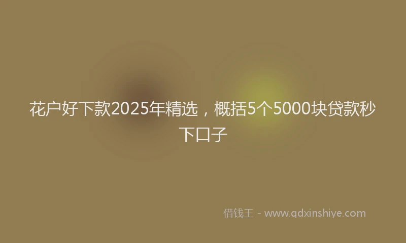 花户好下款2025年精选，概括5个5000块贷款秒下口子