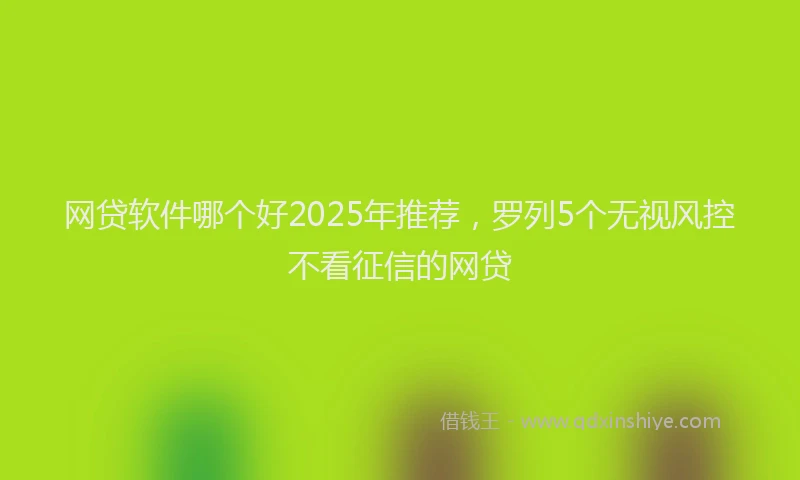 网贷软件哪个好2025年推荐，罗列5个无视风控不看征信的网贷