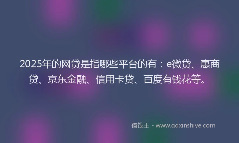 2025年的网贷是指哪些平台的有：e微贷、惠商贷、京东金融、信用卡贷、百度有钱花等。