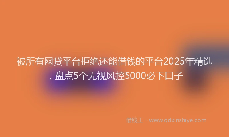 被所有网贷平台拒绝还能借钱的平台2025年精选，盘点5个无视风控5000必下口子