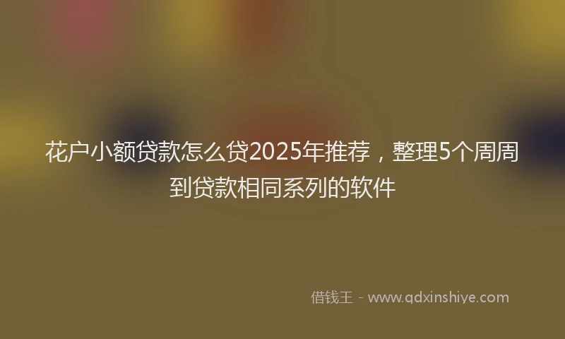 花户小额贷款怎么贷2025年推荐，整理5个周周到贷款相同系列的软件