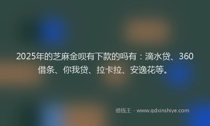 2025年的芝麻金呗有下款的吗有：滴水贷、360借条、你我贷、拉卡拉、安逸花等。