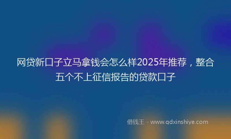 网贷新口子立马拿钱会怎么样2025年推荐，整合五个不上征信报告的贷款口子