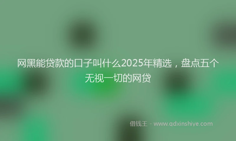 网黑能贷款的口子叫什么2025年精选，盘点五个无视一切的网贷