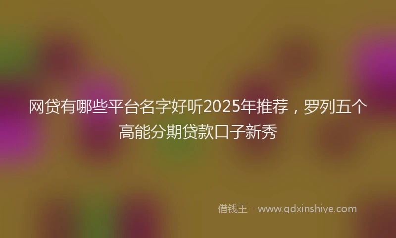 网贷有哪些平台名字好听2025年推荐，罗列五个高能分期贷款口子新秀