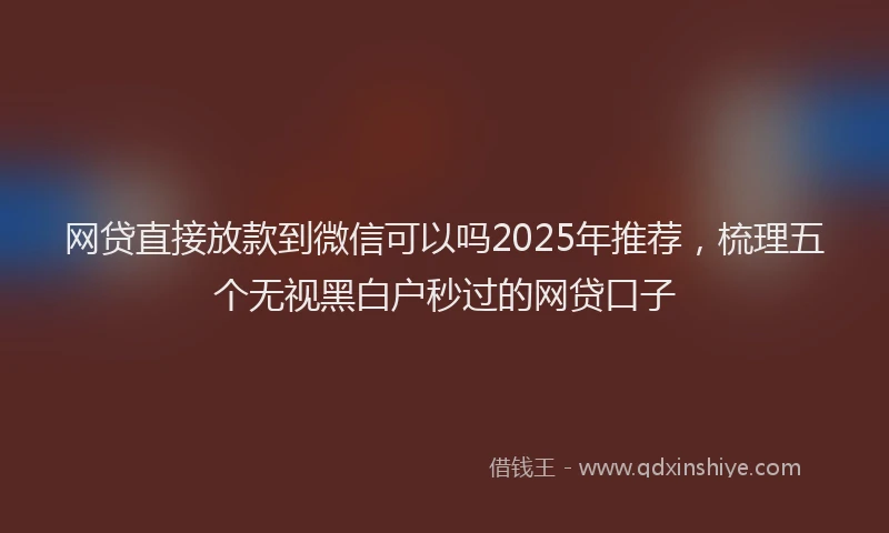 网贷直接放款到微信可以吗2025年推荐，梳理五个无视黑白户秒过的网贷口子