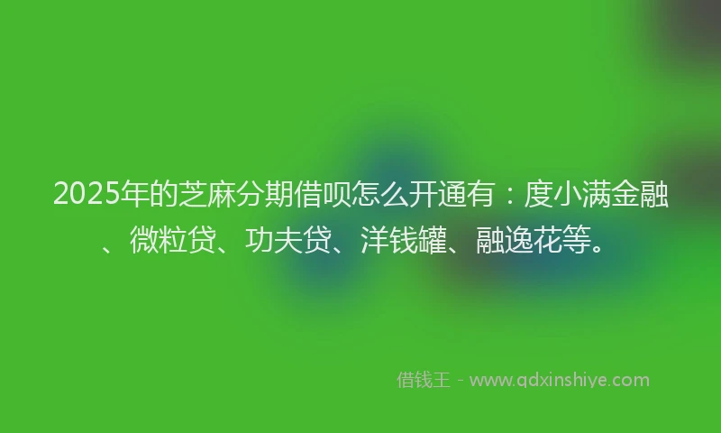 2025年的芝麻分期借呗怎么开通有：度小满金融、微粒贷、功夫贷、洋钱罐、融逸花等。