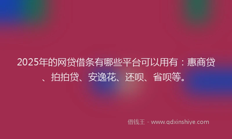 2025年的网贷借条有哪些平台可以用有：惠商贷、拍拍贷、安逸花、还呗、省呗等。