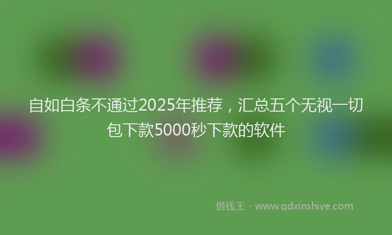 自如白条不通过2025年推荐，汇总五个无视一切包下款5000秒下款的软件