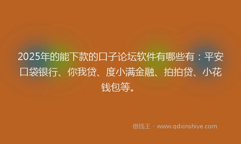 2025年的能下款的口子论坛软件有哪些有：平安口袋银行、你我贷、度小满金融、拍拍贷、小花钱包等。