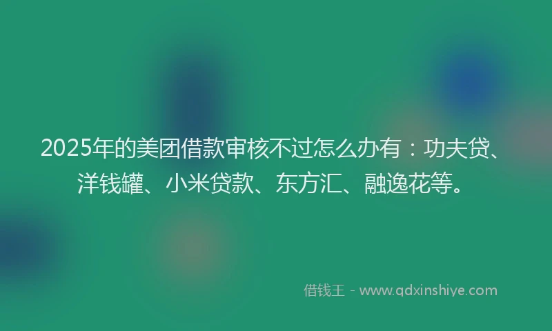 2025年的美团借款审核不过怎么办有：功夫贷、洋钱罐、小米贷款、东方汇、融逸花等。
