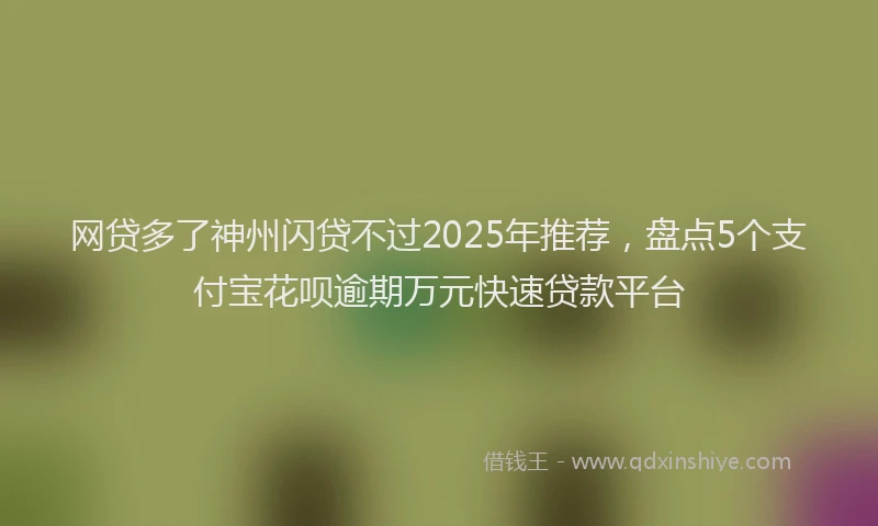 网贷多了神州闪贷不过2025年推荐，盘点5个支付宝花呗逾期万元快速贷款平台